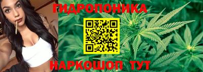 марихуана Кингисепп