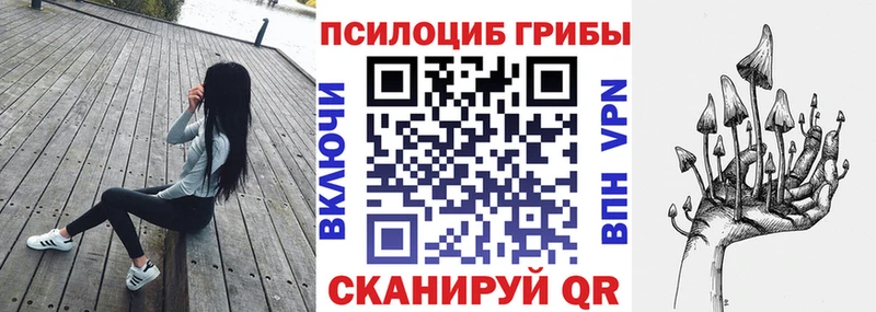 shop какой сайт  Георгиевск  Псилоцибиновые грибы прущие грибы 