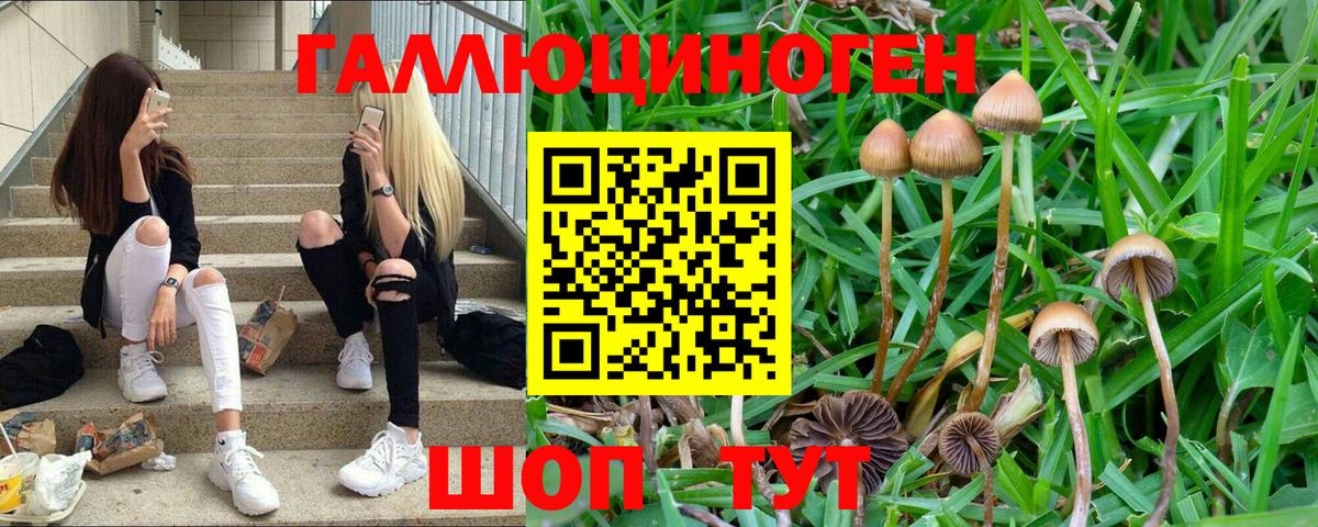 Псилоцибиновые грибы ЛСД Георгиевск