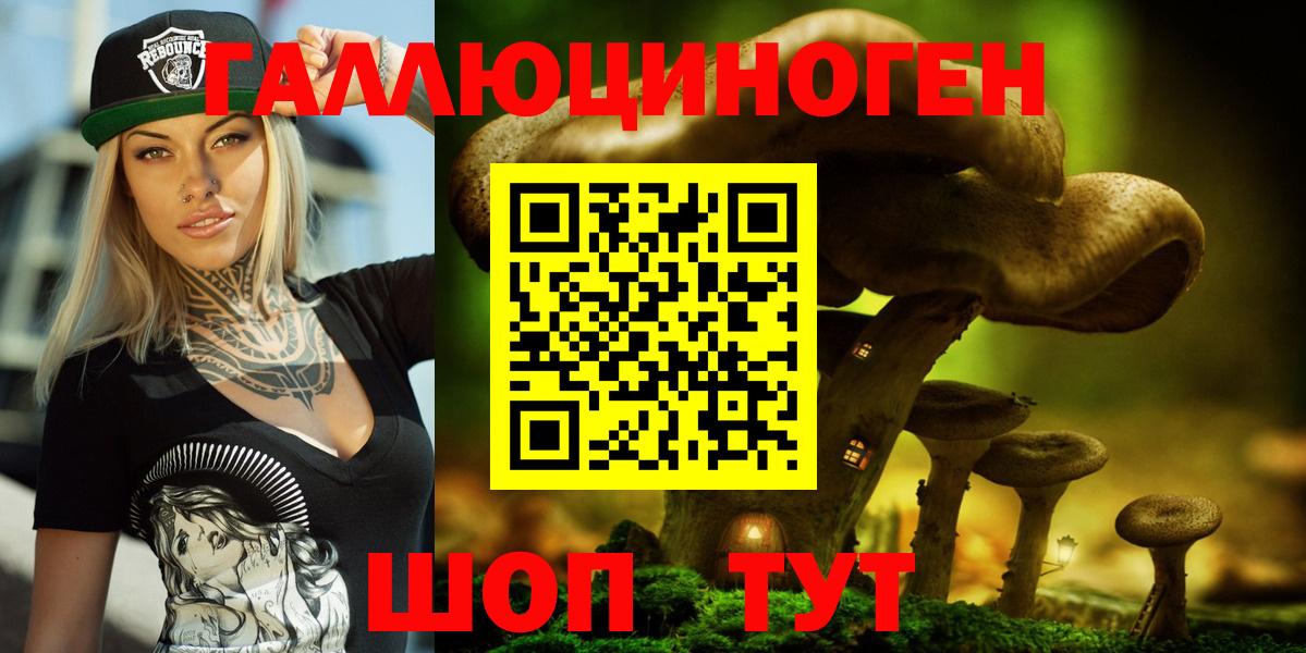 Псилоцибиновые грибы Psilocybine cubensis  Вход с VPN  Георгиевск  Галлюциногенные грибы Psilocybe 